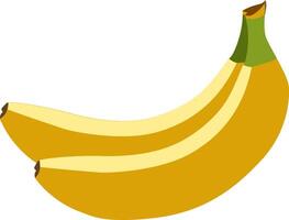 Banana Beauty - A visually appealing portrayal of the aesthetic charm found in the simplicity of a banana, suitable for various design applications. Banana vector illustration.