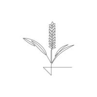 Vector continuous line art drawing of organic healthy food wheat grain for farm logo identity