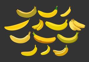 Cluster of Ripe Bananas. A tightly packed group of ripe bananas. An appealing cluster of bananas, showcasing the beauty of a fresh harvest and the abundance of nature. Banana illustration collection. vector