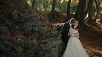 bruidegom met bruid in de Woud park. bruiloft paar. gelukkig familie video