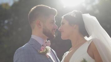 Wedding couple. Lovely groom and bride. Happy family. Man and woman in love video