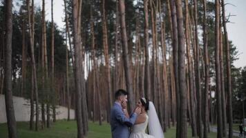 sposo con sposa nel il parco. nozze coppia. contento famiglia nel amore video