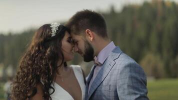 Bräutigam mit Braut im das Park. Hochzeit Paar. glücklich Familie im Liebe video