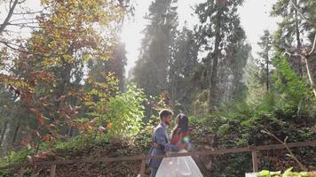 brudgum med brud nära berg kullar i de skog. bröllop par. solstrålar video
