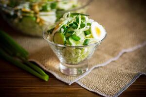 primavera ensalada con temprano repollo, pepinos, huevos y verde cebollas foto