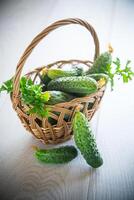 organic cucumbers with herbs on a wooden table photo