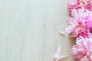 several branches of blooming pink peonies on a wooden table photo