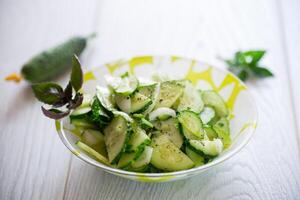 fresh organic cucumber salad with herbs and basil in a plate photo
