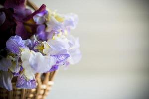 ramo de flores de hermosa floreciente iris flores en de madera antecedentes foto