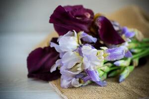 bouquet of beautiful blooming iris flowers on wooden background photo