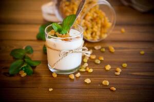 sweet homemade yogurt with raisins in a glass photo