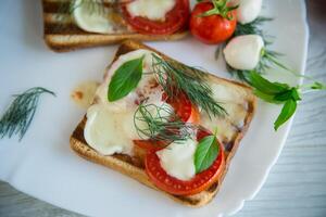 fried hot toast with mozzarella and tomatoes in a plate photo