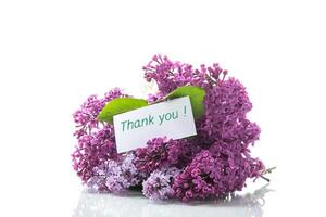 bouquet of different blooming spring lilacs on white background photo