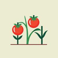 Tomato cartoon illustration vector design