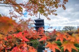 Ancient wood Toji temple of unesco world heritage site in Maple leaves at Kyoto photo