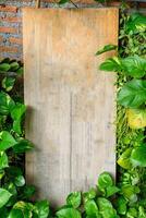 Wood blank signboard with plant leaves cover standing on cafe photo