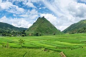 Green mountain with rice field terraces photo