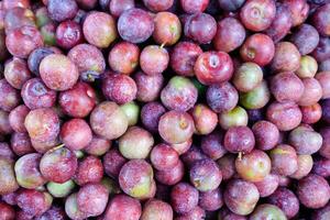 Jujube fruit ripe pile up photo