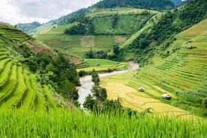 View of rice field terraced and river in Mu Cang Chai photo