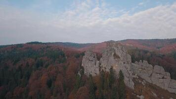 indrukwekkend dar schot van de berg heuvels in Woud. herfst. antenne visie video