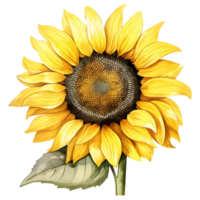 ai generado girasol en en auge png