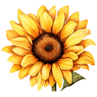 ai generado girasol en en auge png