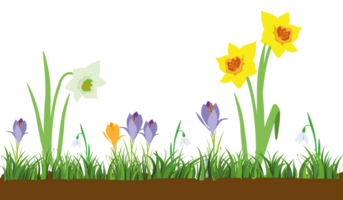 Poster mit Wildblumen, Kräuter im botanisch Stil isoliert. Banner Vorlage mit Blumen- Elemente und Platz zum Text. Sommer- Strauß zum Karten, Grüße, Einladungen. png