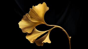 AI generated Gingko Biloba Gold Leaf Isolated On Black Background photo