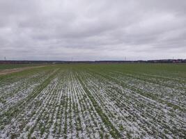 Snow fell on an agricultural field photo