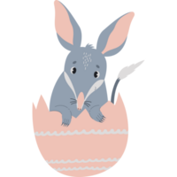 Cute Easter bilby in egg. png