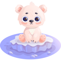 Cute   white bear on ice floe png