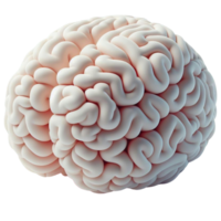 3d hersenen illustratie png