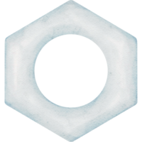 Nut object with transparent background png