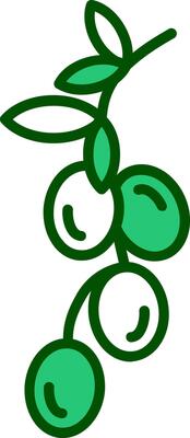 Olive Vector Icon