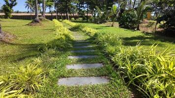 un sereno jardín camino con pisar piedras flanqueado por lozano verdor y palma árboles, transporte tranquilidad y natural belleza video