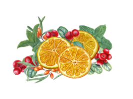 Red and orange berries, citrus slices and mint leaves. Orange, sea buckthorn, lingonberry, herbs. png