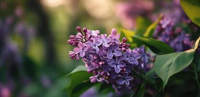 ai generado un soltero púrpura lila flor es sentado abajo foto