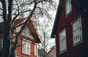 AI generated two buildings with red siding and white details photo