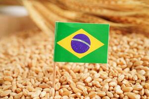 Brazil flag on grain wheat, trade export and economy concept. photo