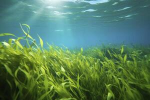 AI generated Underwater view of a group of seabed with green seagrass. AI Generated photo