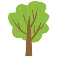 árvore verde simples png