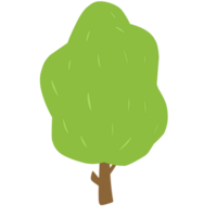 árvore verde simples png