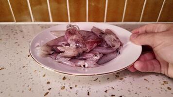 fresco calamaro su piatto nel cucina video