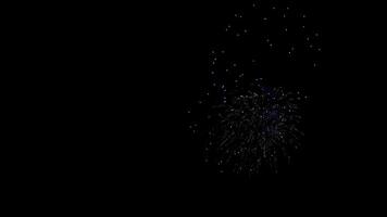 Festive Fireworks Display Dark Sky Celebration video