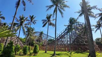 A wooden roller coaster towers behind lush greenery and palm trees under a clear blue sky in a tropical amusement park setting video