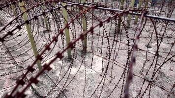 Rows of barbed wire fences symbolizing imprisonment, control, or the somber history of concentration camps, without any visible people or specific holiday reference video