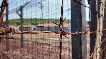 Close up of rusted barbed wire with blurred background portraying concepts of restriction, boundary, or security video