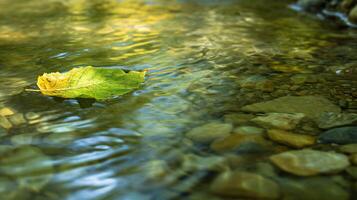 AI generated a leaf floating in a stream of water photo