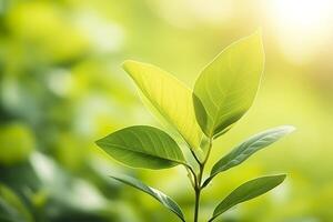 AI generated Nature of green leaf in a garden in summer under sunlight. Spring background. AI Generated photo