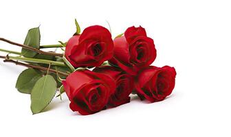 AI generated Red rose bouquet isolated on white background. AI Generated photo